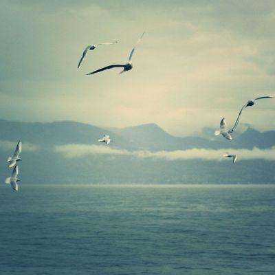 我在江湖网易版下载